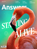Answers Magazine, Single Issue - Vol. 17 No. 2 Staying Alive