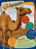 Kids Answers Mini-magazine - Vol. 1 No. 2 Camels: Single copy