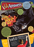 Kids Answers Mini-magazine - Vol. 3 No. 3 Bats: Single copy