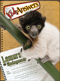 Kids Answers Mini-magazine - Vol. 5 No. 3: Lemurs