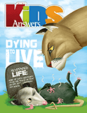 Kids Answers Mini-magazine - Vol. 7 No. 3