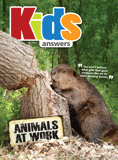 Kids Answers Mini-magazine - Vol. 10 No. 3: Animals at Work