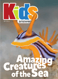 Kids Answers Mini-magazine - Vol. 11 No. 2