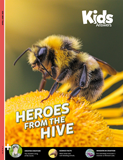 Kids Answers Magazine - Vol. 18 No. 2 Heroes from the Hive