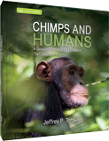 Chimps and Humans