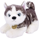 Plush - Siberian Husku