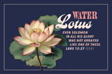 Water Lotus Scripture Postcard