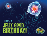 MYSTERY ISLAND VBS: HAPPY BIRTHDAY FOLLOW UP POSTCARD