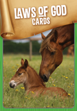 MYSTERY ISLAND VBS: LAWS OF GOD CARDS