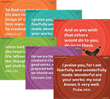 Zoomerang VBS: Junior and Primary Memory Verse Posters