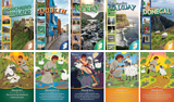 Emerald Crossing VBS: Emerald Isle and Life of David Scene Setter
