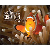 2020 Calendar: Complexity in Creation