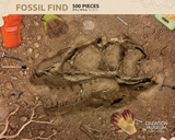 Fossil Find Puzzle