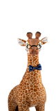 Ark Encounter Giraffe Plush: George
