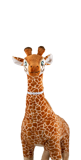 Ark Encounter Giraffe Plush: Gloria