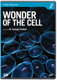 Wonder of the Cell