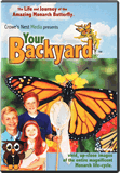 Your Backyard: Monarch Butterfly