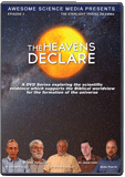The Heavens Declare: The Starlight Travel Dilemma