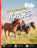 Kids Answers Magazine - Vol. 19 No. 4 Horses